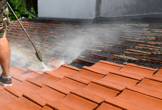 Best Affordable Power Washing  in Ridley Rk, PA